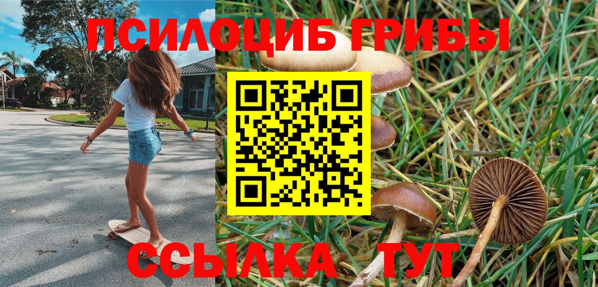 где найти   Псилоцибиновые грибы мицелий  Вход с VPN  Коломна 