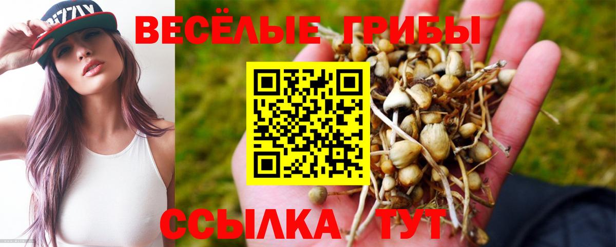 Псилоцибиновые грибы ЛСД Коломна